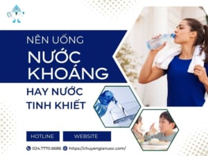 Nên uống nước khoáng hay nước tinh khiết? Lời khuyên từ chuyên gia