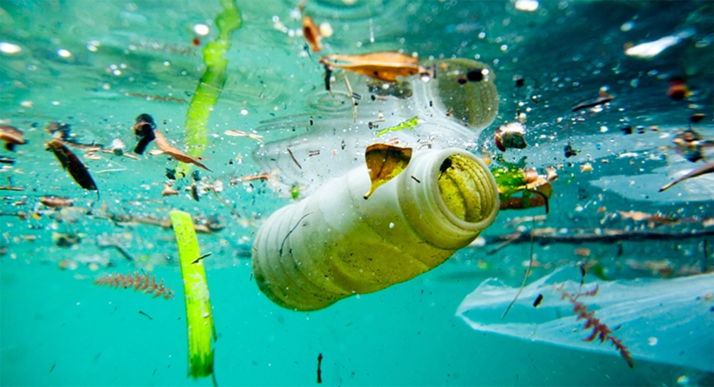 Ô nhiễm nguồn nước khiến lọc nước trở nên vô cùng quan trọng