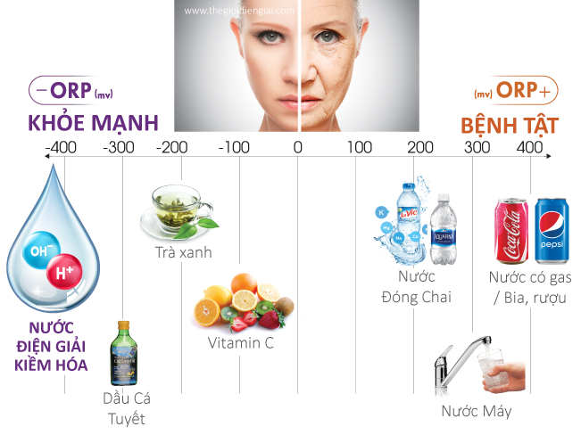 Nước ion kiềm hỗ trợ chống oxy hóa mạnh