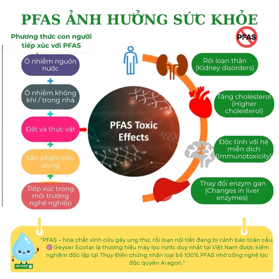 PFAS là gì? Nguy cơ khôn lường từ hợp chất vĩnh cửu.