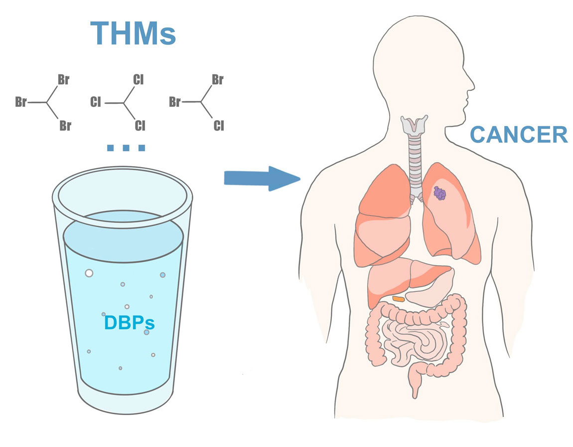 Sản phẩm phụ Trihalomethanes và Haloacetic Acids có nguy cơ gây ung thư