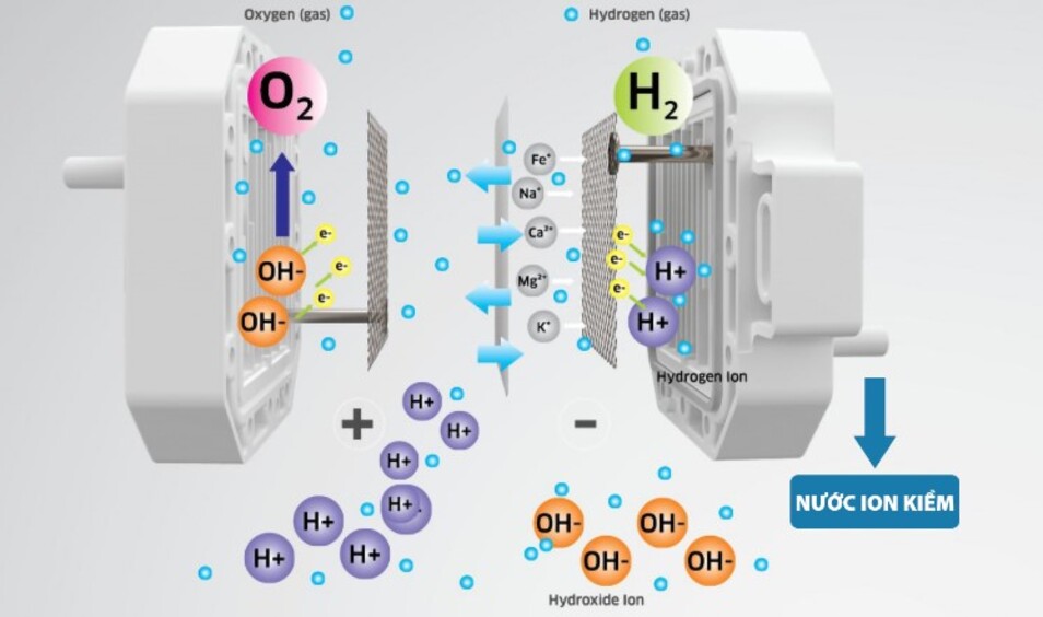 Nguyên lý tạo nước ion kiềm chuẩn Nhật