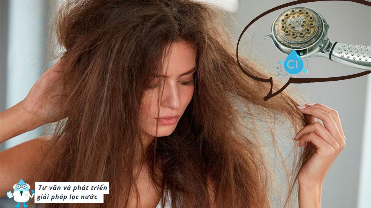 Clo và tạp chất tích tụ trong nước máy làm da tóc trở nên khô xơ