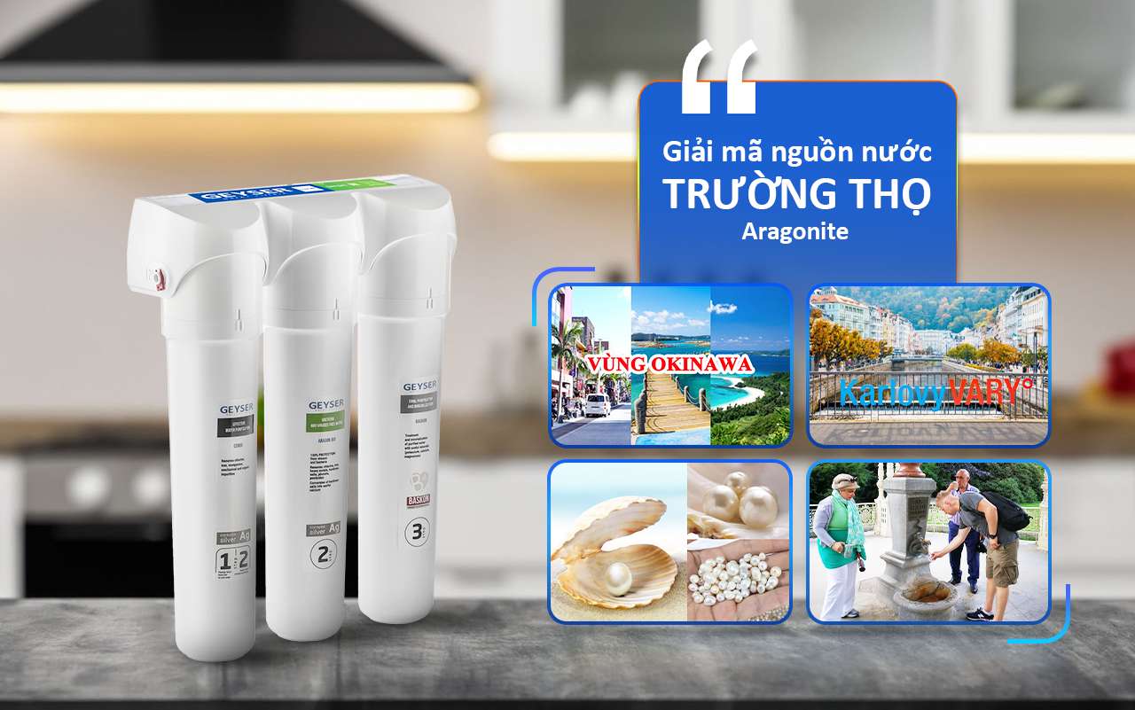 Geyser Ecotar 4 giải mã nguồn nước trường thọ