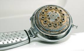 Thiết bị nhà tắm bám cặn bẩn