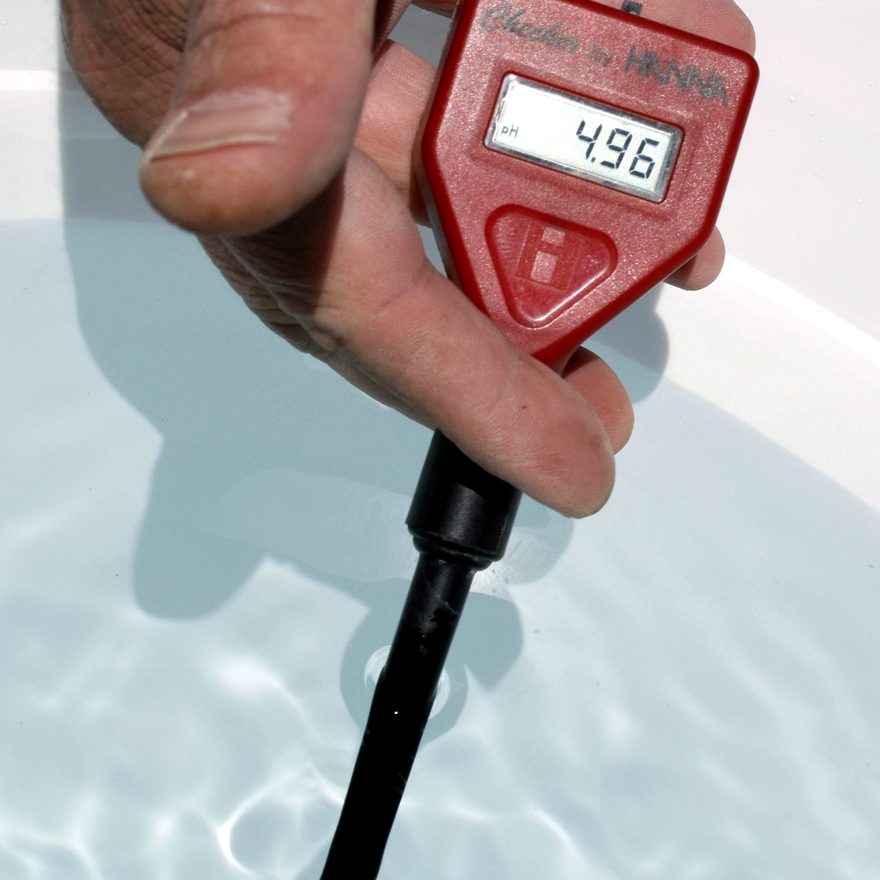 Ảnh thực tế dùng pH meter đo mẫu nước