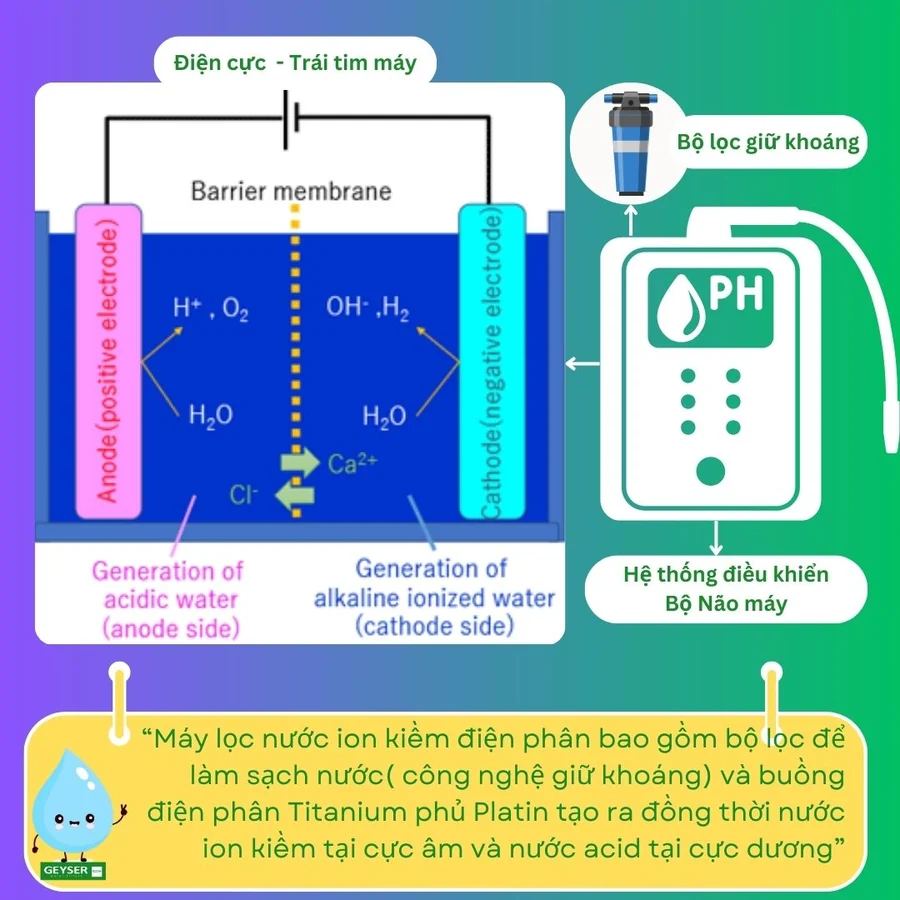 Gia đình mới dùng ion kiềm nên bắt đầu mức pH nào? - điều kiện lắp đặt